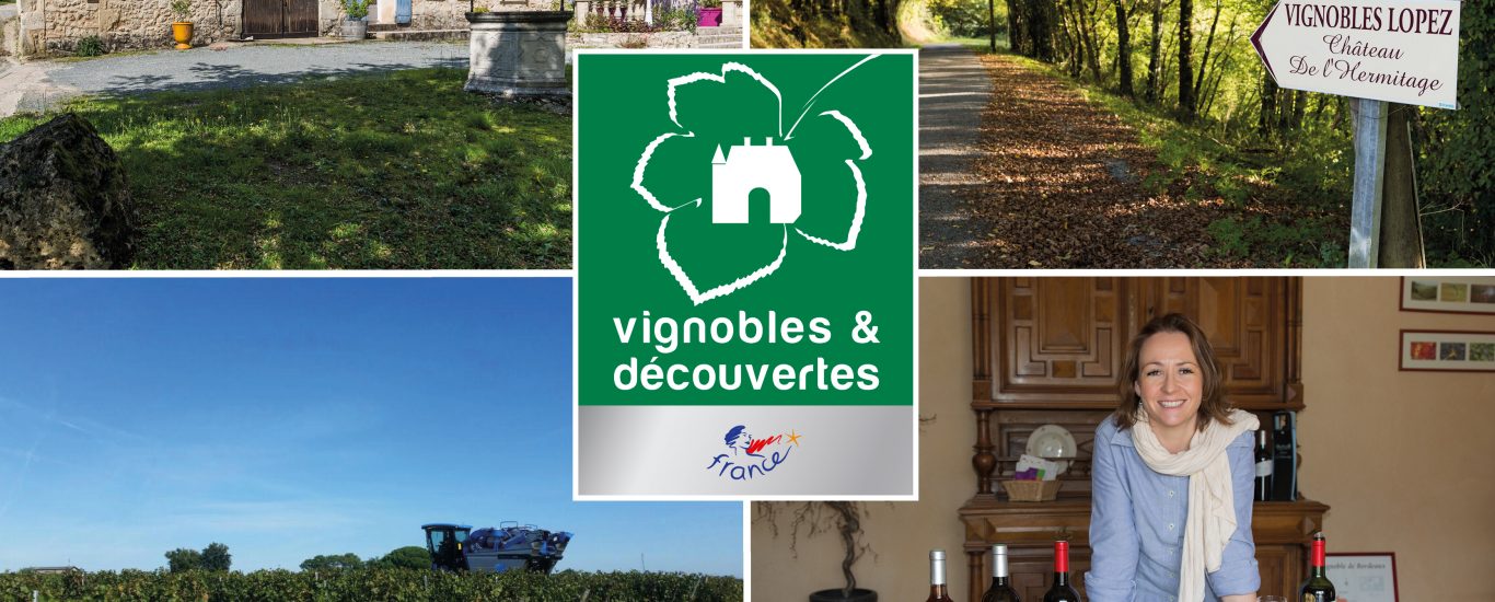 Dégustation et visite Vignobles Lopez