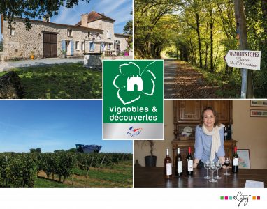 Dégustation et visite Vignobles Lopez